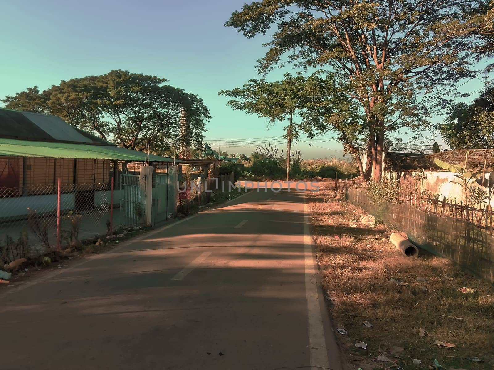 A quiet, sunlit street stretches into the distance, flanked by a mix of greenery and modest homes in a rural setting. The warm, tranquil mood is accentuated by the play of light on the pavement, while fences and scattered foliage add a touch of rustic charm.