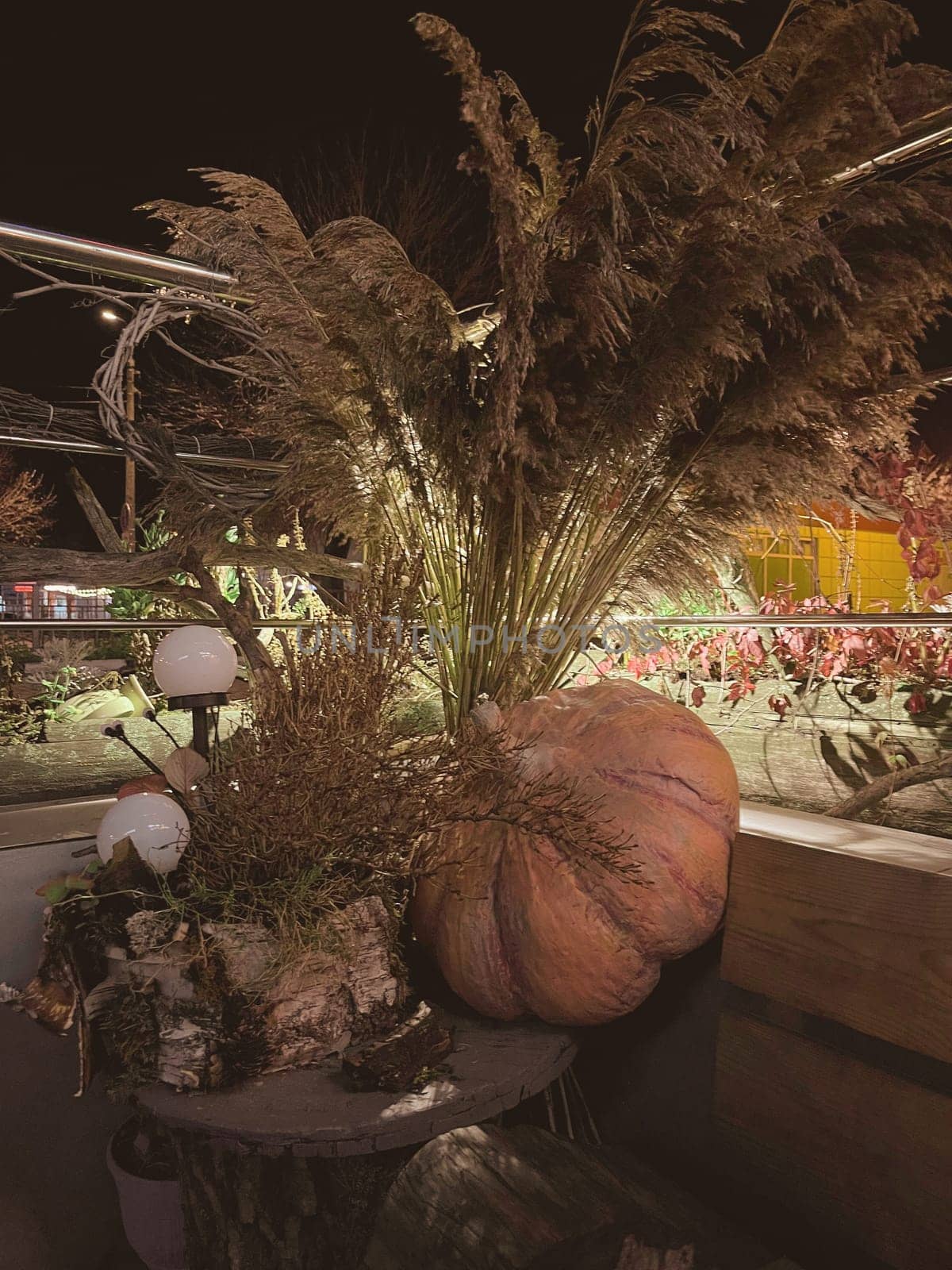 aesthetic photo of a pumpkin and leaves on a dark night background. Harvest festive Thanksgiving concept