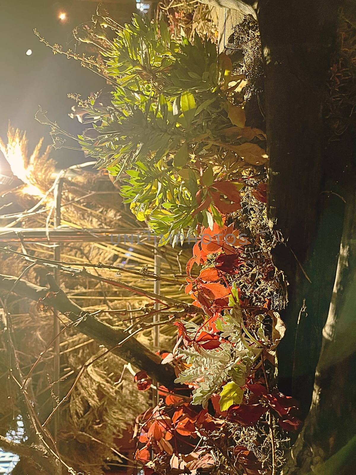 Aesthetic warm vintage photo with Christmas festive plants and decorations
