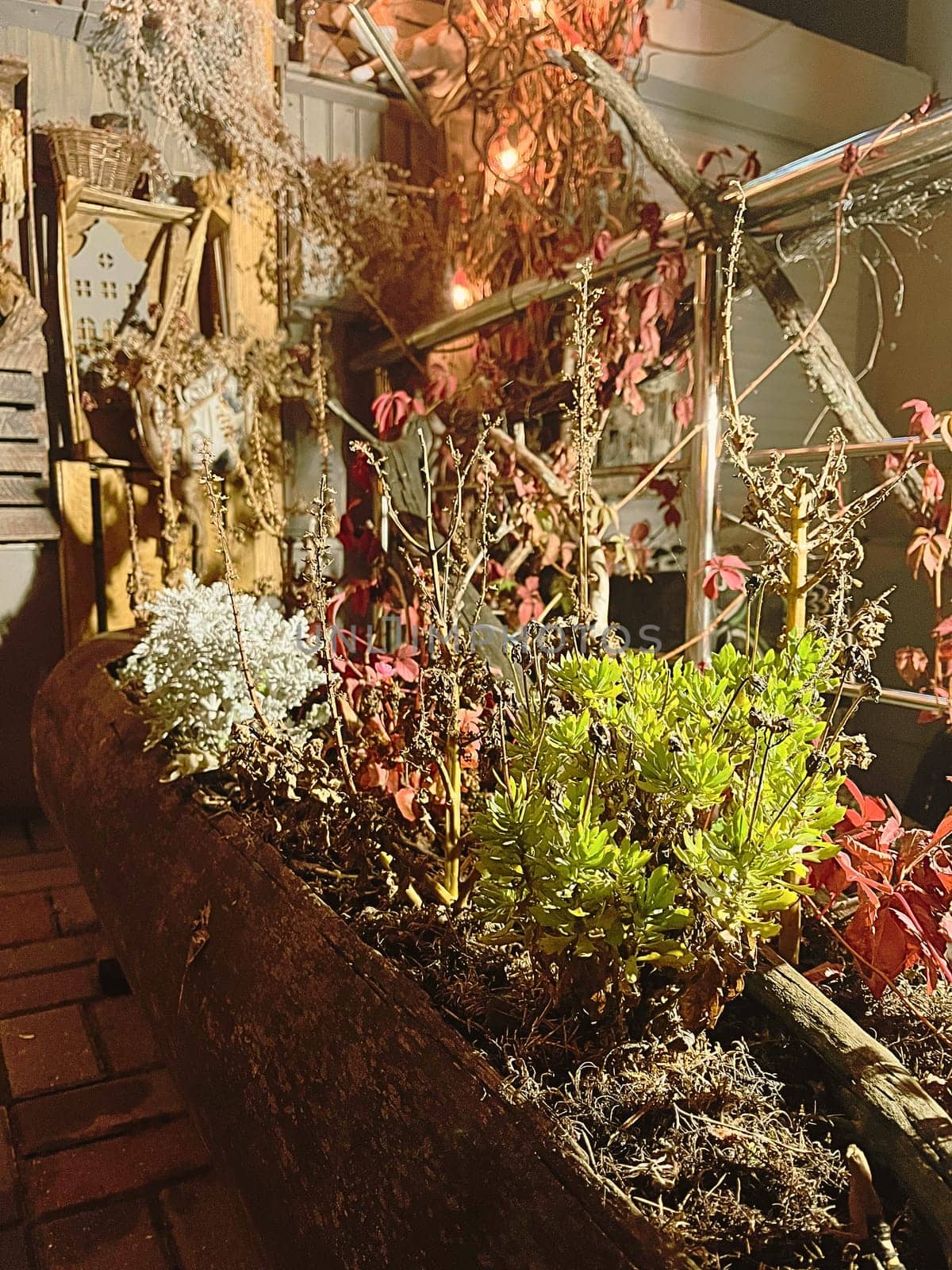 Aesthetic warm vintage photo with Christmas festive plants and decorations