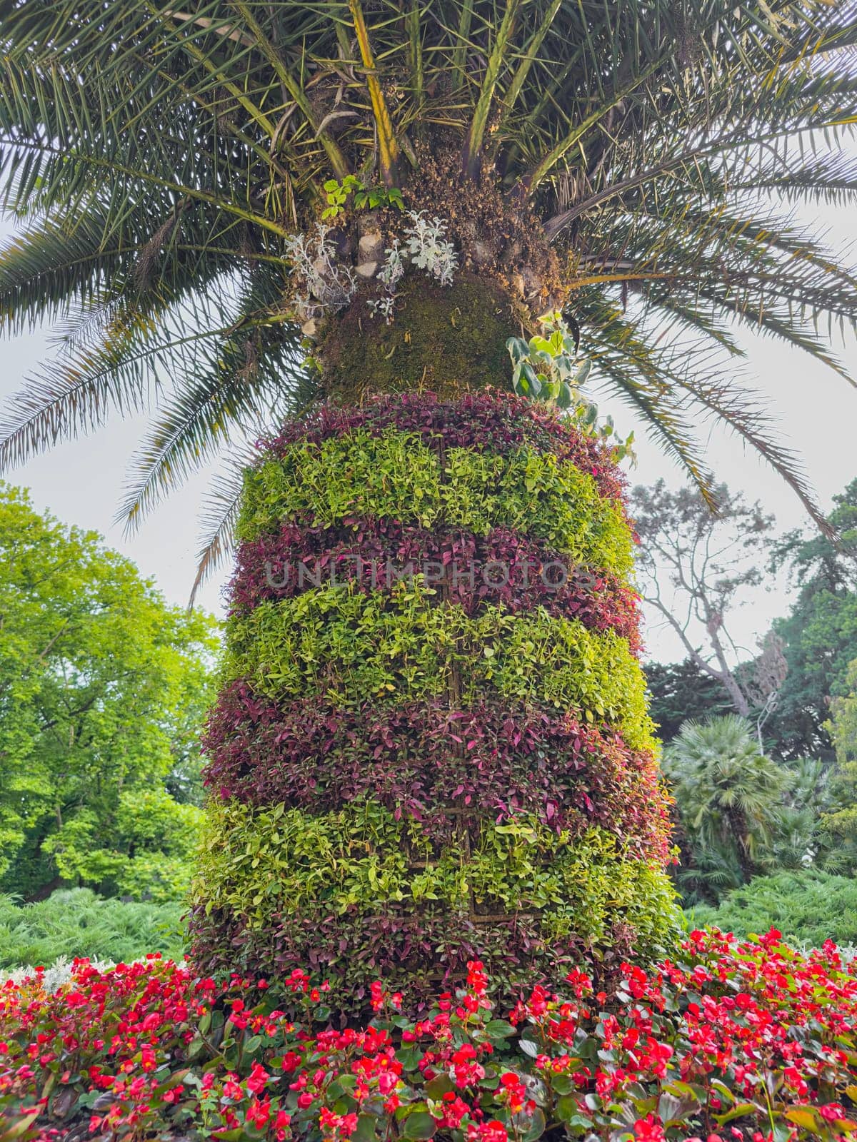 Brightly colored flowers bloom around a tall palm tree, showcasing beautifully arranged layers of foliage. The garden setting offers a peaceful retreat for nature lovers and visitors.