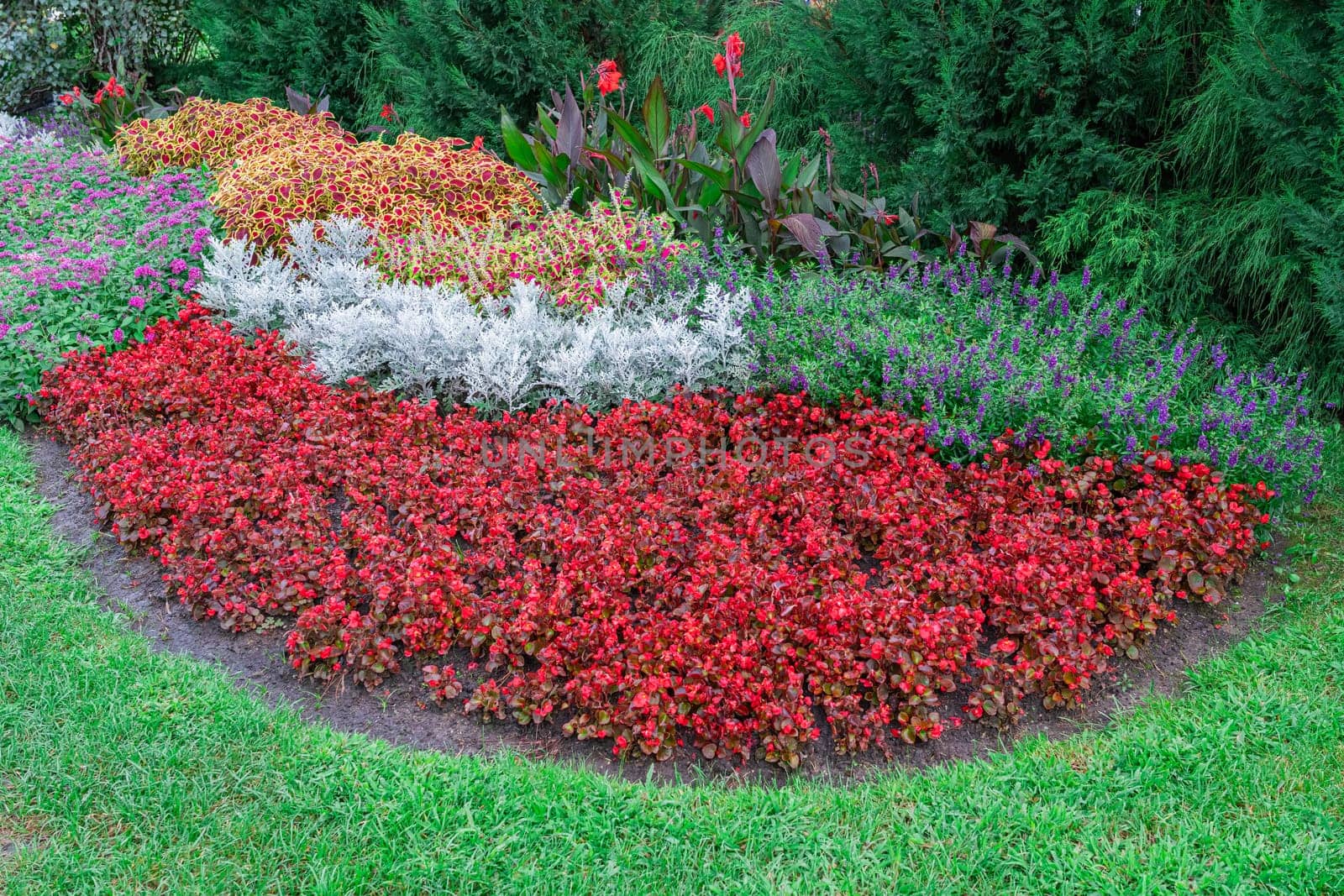 Bright red, purple, and white flowers create a beautiful curved flower bed in a lush green garden. The vibrant colors contrast against the greenery, bringing life to the outdoor space.