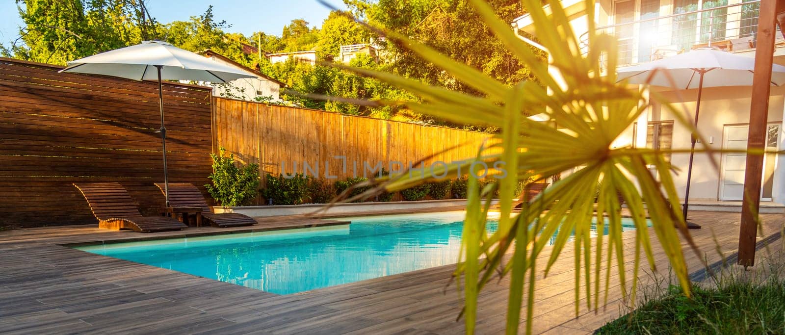 Modern swimming pool with wooden deck and tropical plants. Concept of luxury backyard retreat