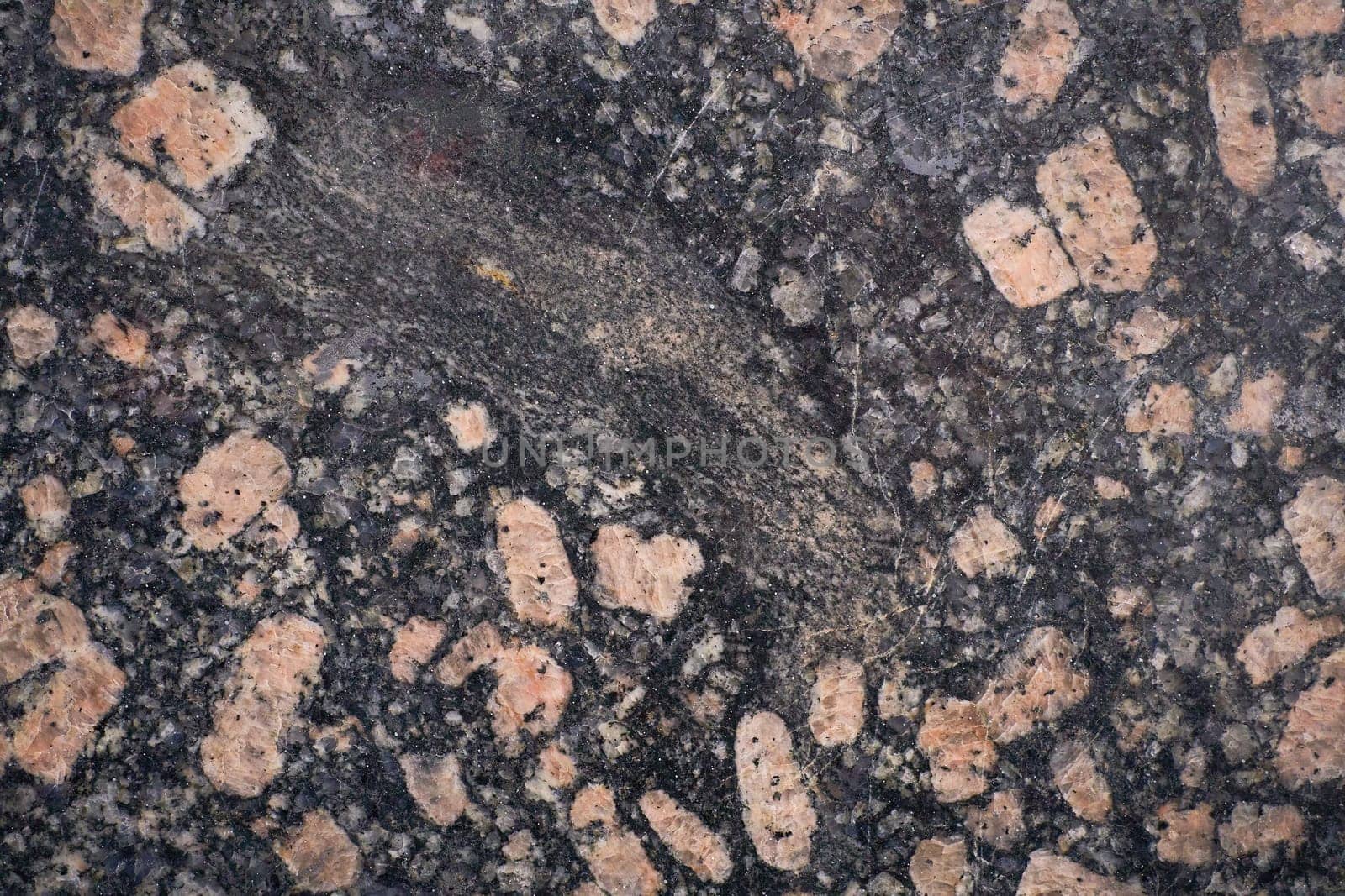 Polished granite surface showing feldspar crystals embedded in dark matrix.