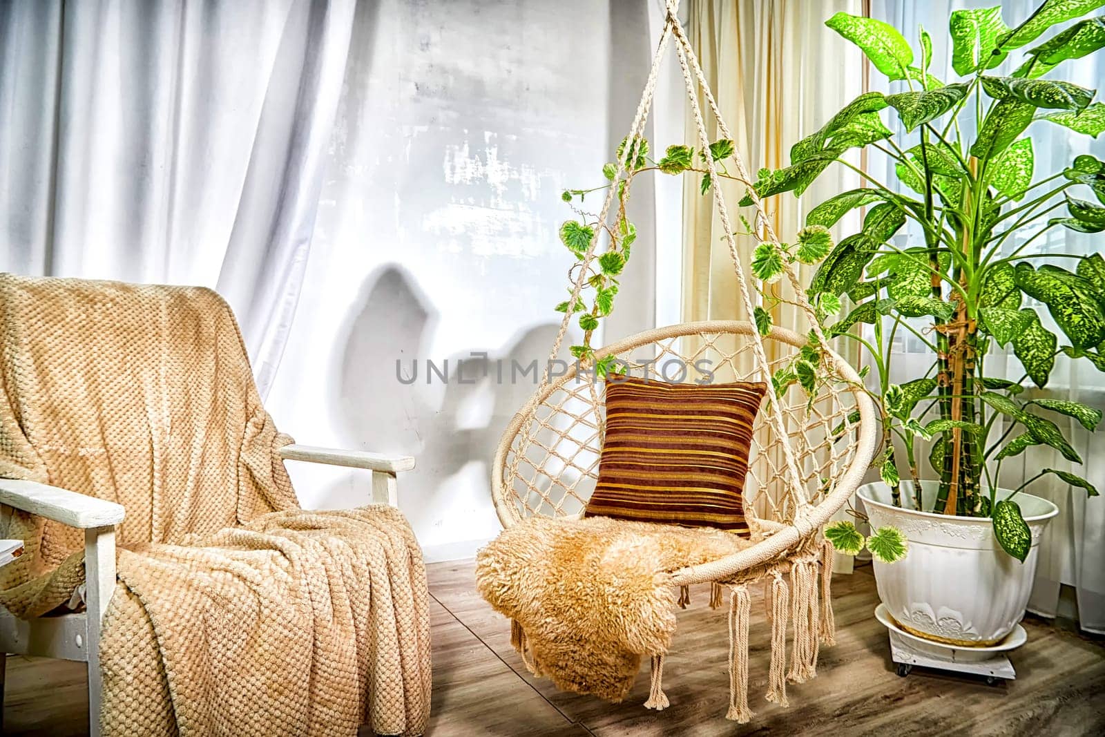Modern cozy beautiful room with a braided rope macrame chair, green plant Diffenbachia and curtains. Interior and background. Location for photo shooting