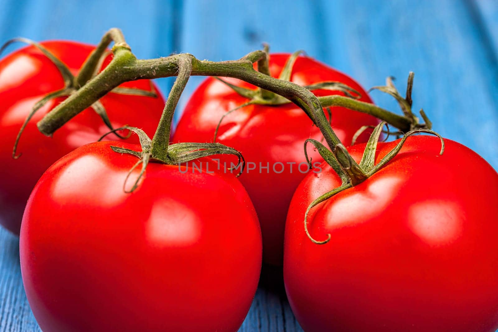 A close up of fresh tomatoes on a vine set on a blue table.