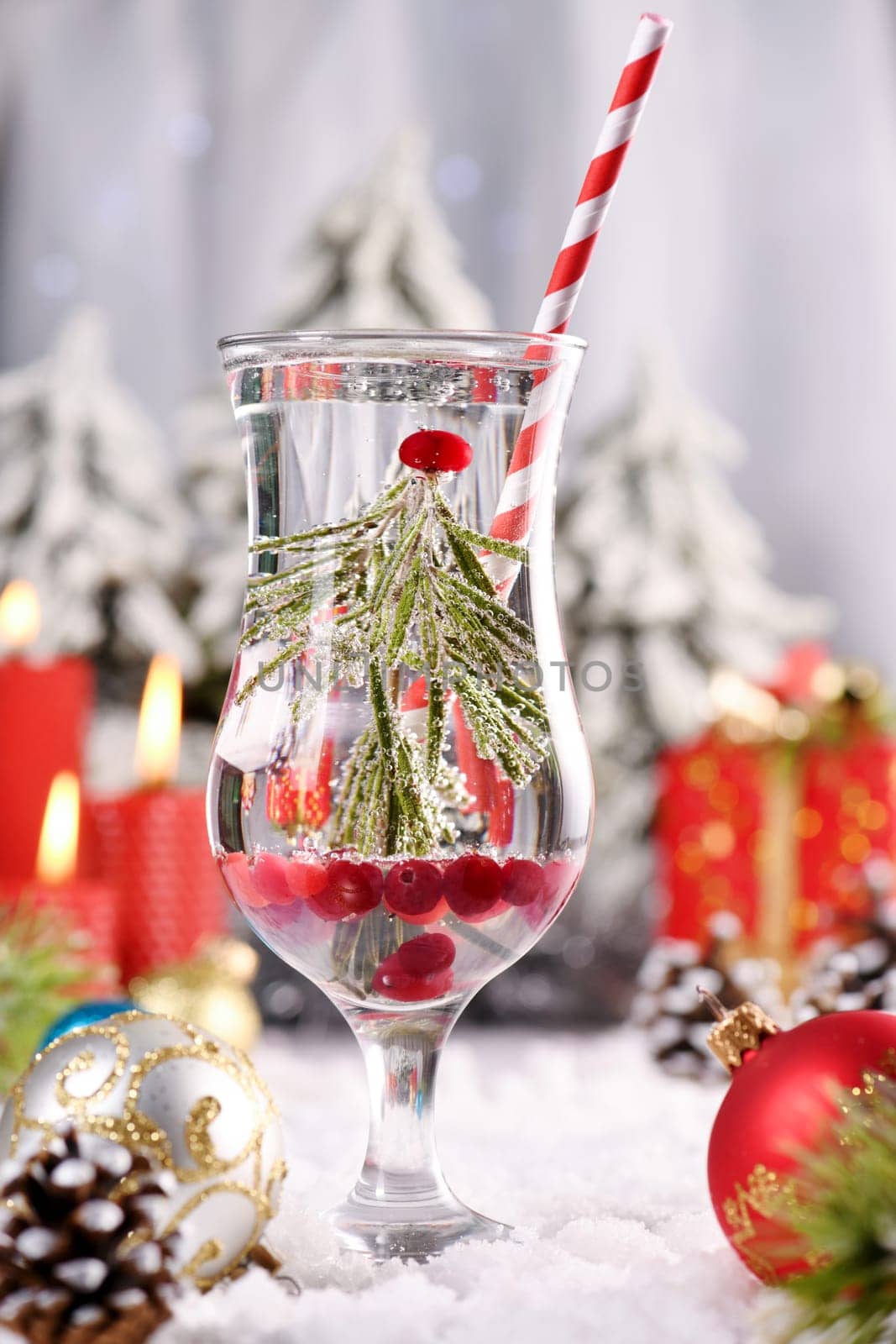  Snow Globe Cocktail. Rosemary Instead of a Christmas Tree with Cranberry, Gin and Tonic. A Festive Drink for Christmas