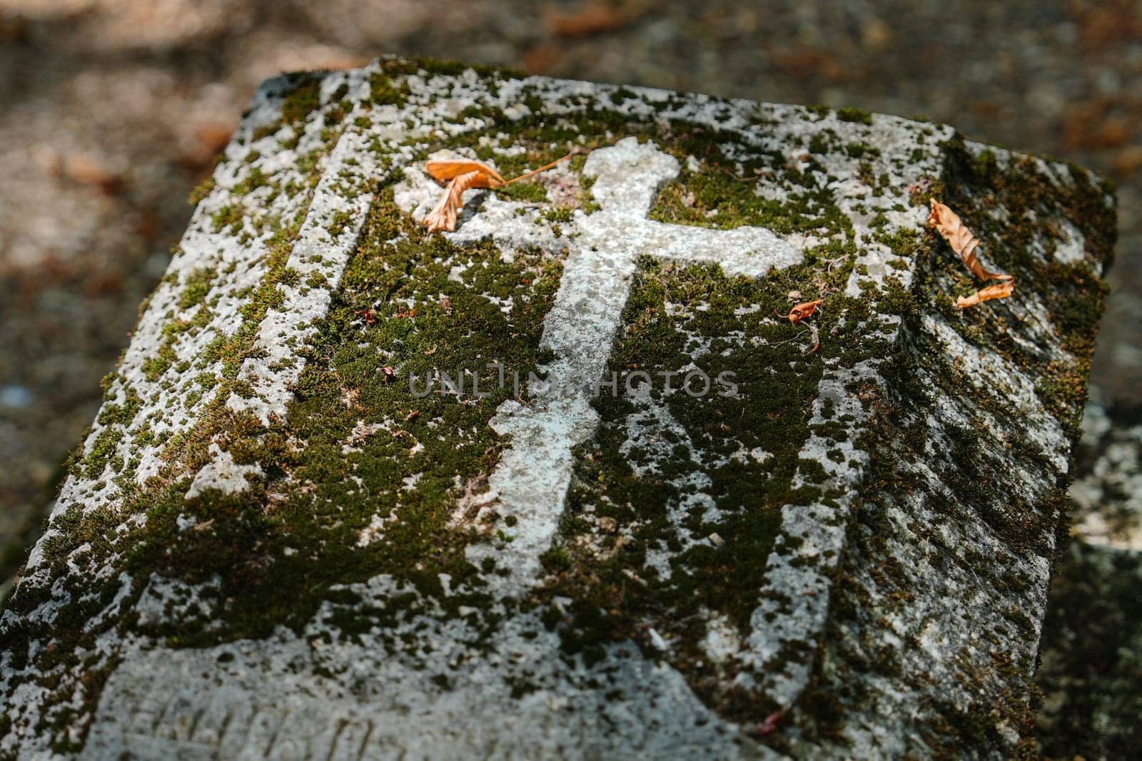 Abandoned grave in a cemetery Europe