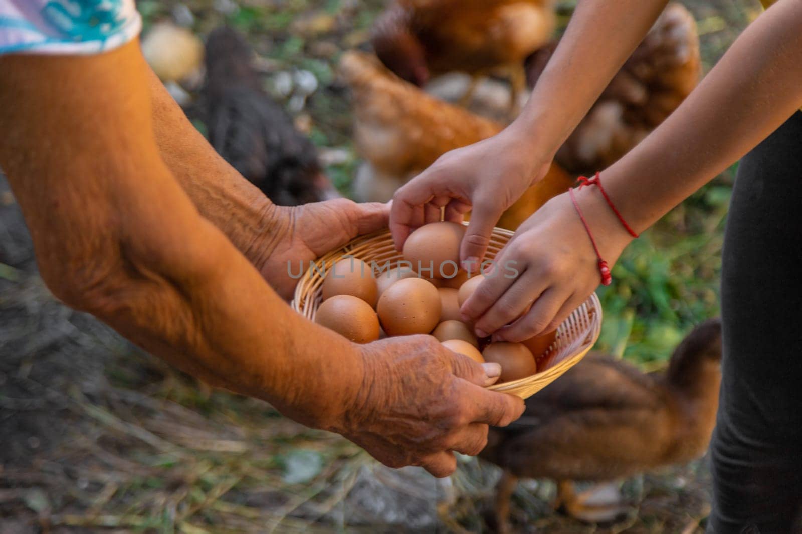 Child holding eggs on a farm. Selective focus. Kid.