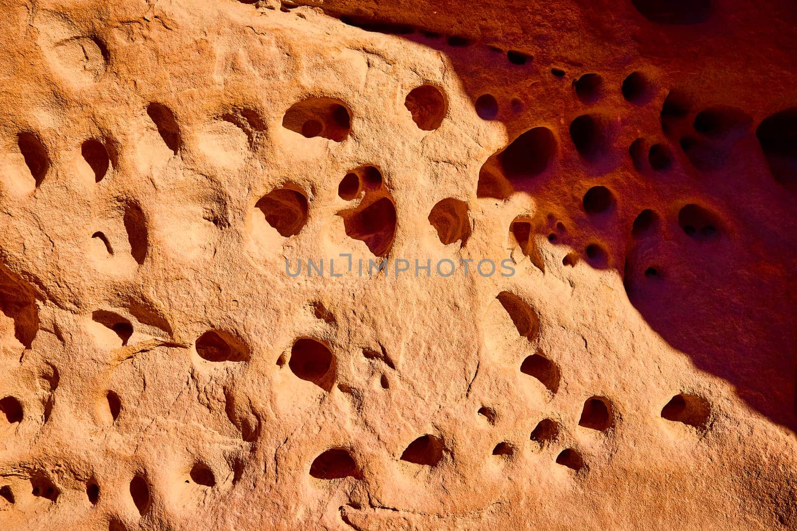 Immerse in the rugged beauty of Valley of Fire in Moapa Valley Nevada. Witness the warm sandstone hues and intricate erosion patterns carved by nature over centuries, perfect for desert and geology themes.