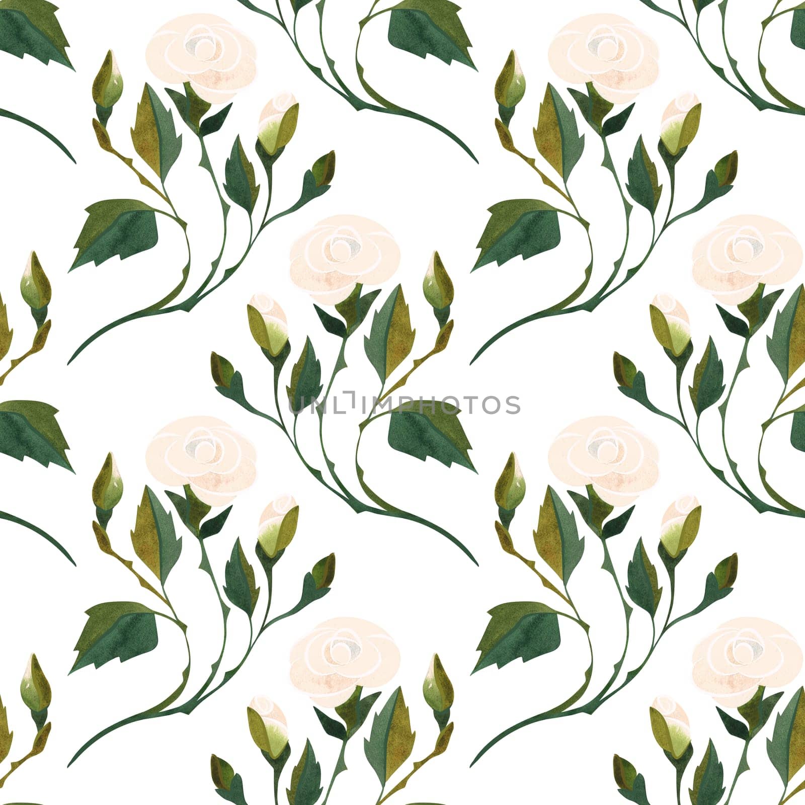 Seamless pattern of white roses. Floral pattern for textiles, women's dress and blouse, wrapping paper, packaging, boxes in feminine and romantic style. Watercolor hand drawn in vintage style