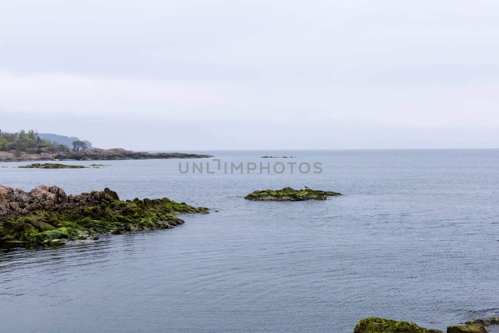 Coast line of sea. Stones covered with yellow and green moss and cloudy sky. Beautiful landscape.