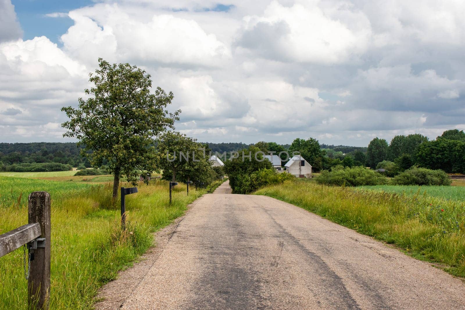 Road in the countryside and cloudy sky on a summer day. High quality photo