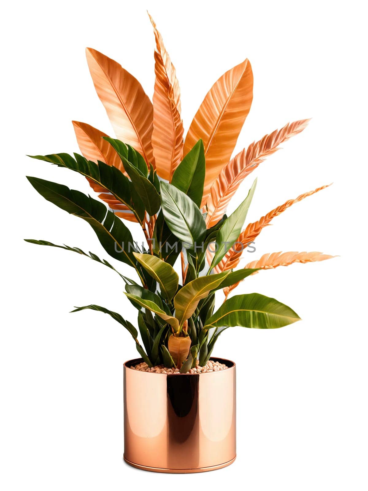Zamioculcas in rose gold geometric container, dramatic spotlighting, spinning motion, commercial style, clean background