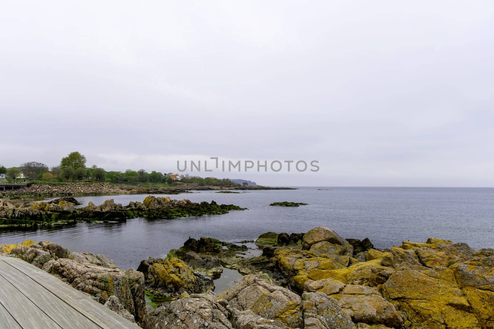 Coast line of sea. Stones covered with yellow and green moss and cloudy sky. Beautiful landscape.