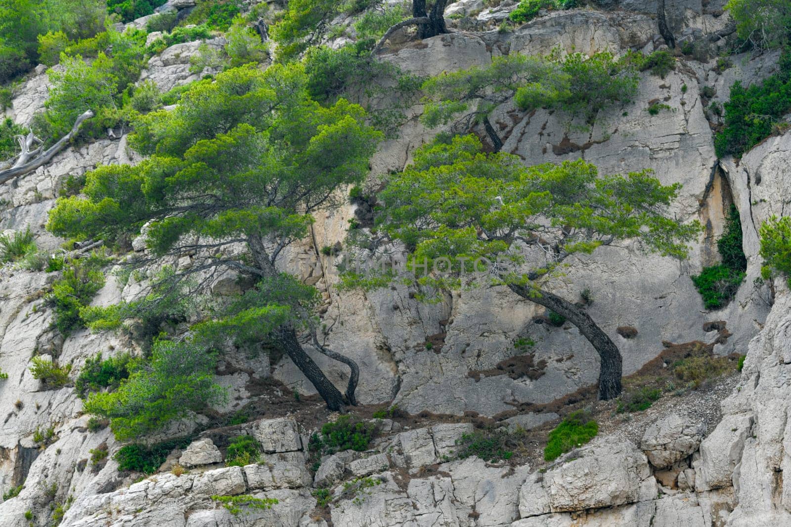 Marseille, France - June 9, 2024 : Calanque of En-Vau on the Coast of Provence, Calanques National Park seen from an excursion boat cruising, High quality 4k footage