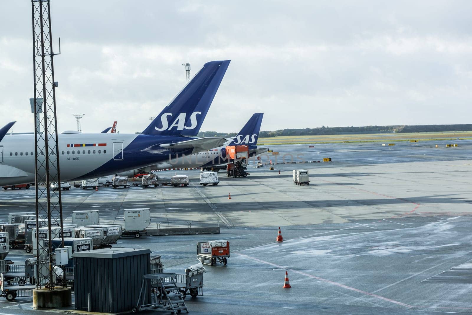 SAS plane parked at Copenhagen airport. Travel by plane. Copenhagen, Denmark - December12, 2024