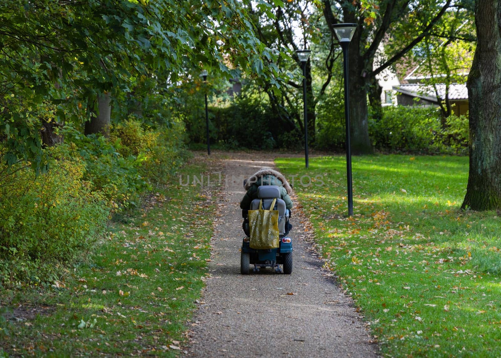 A woman in a wheelchair is driving along the road to the parks. High quality photo
