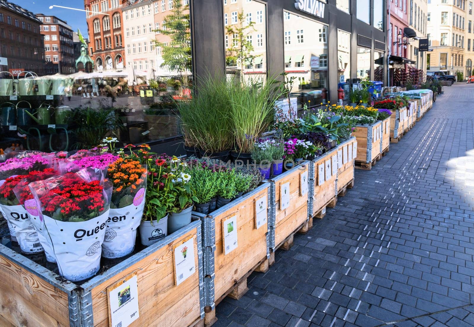 Various flowers and plants in pots outside the shop. Copenhagen, Denmark - August 3, 2023.