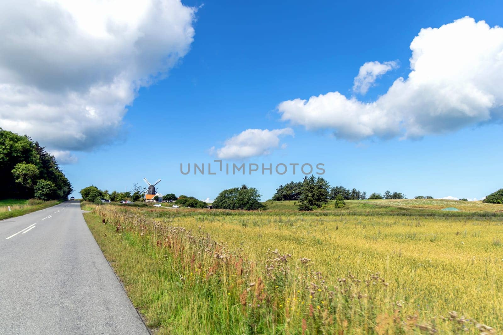 Country road in the middle of a field. Rural landscape. High quality photo