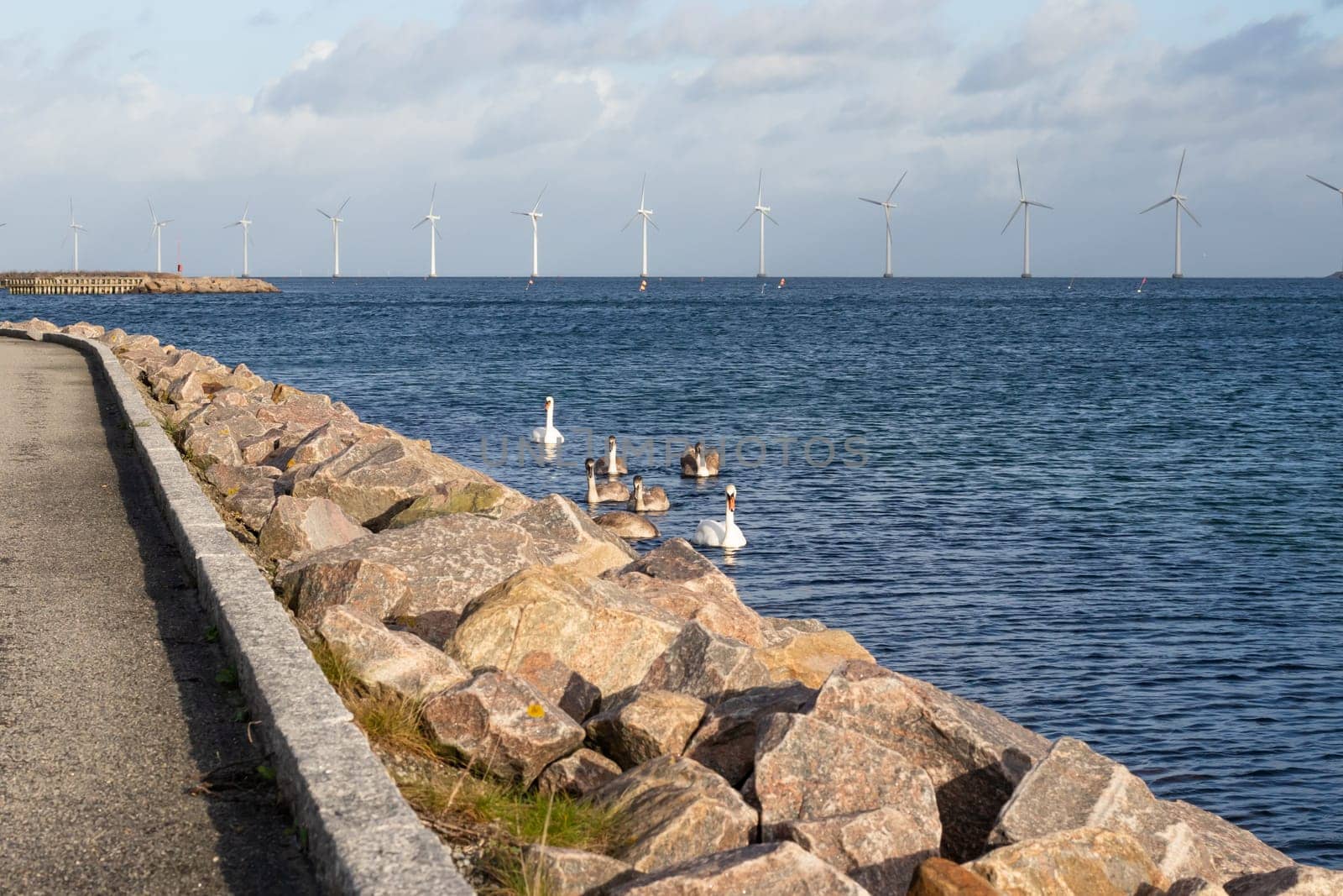 Flock of swans on the sea and Wind turbine farm power genarator in beautiful nature landscape. High quality photo