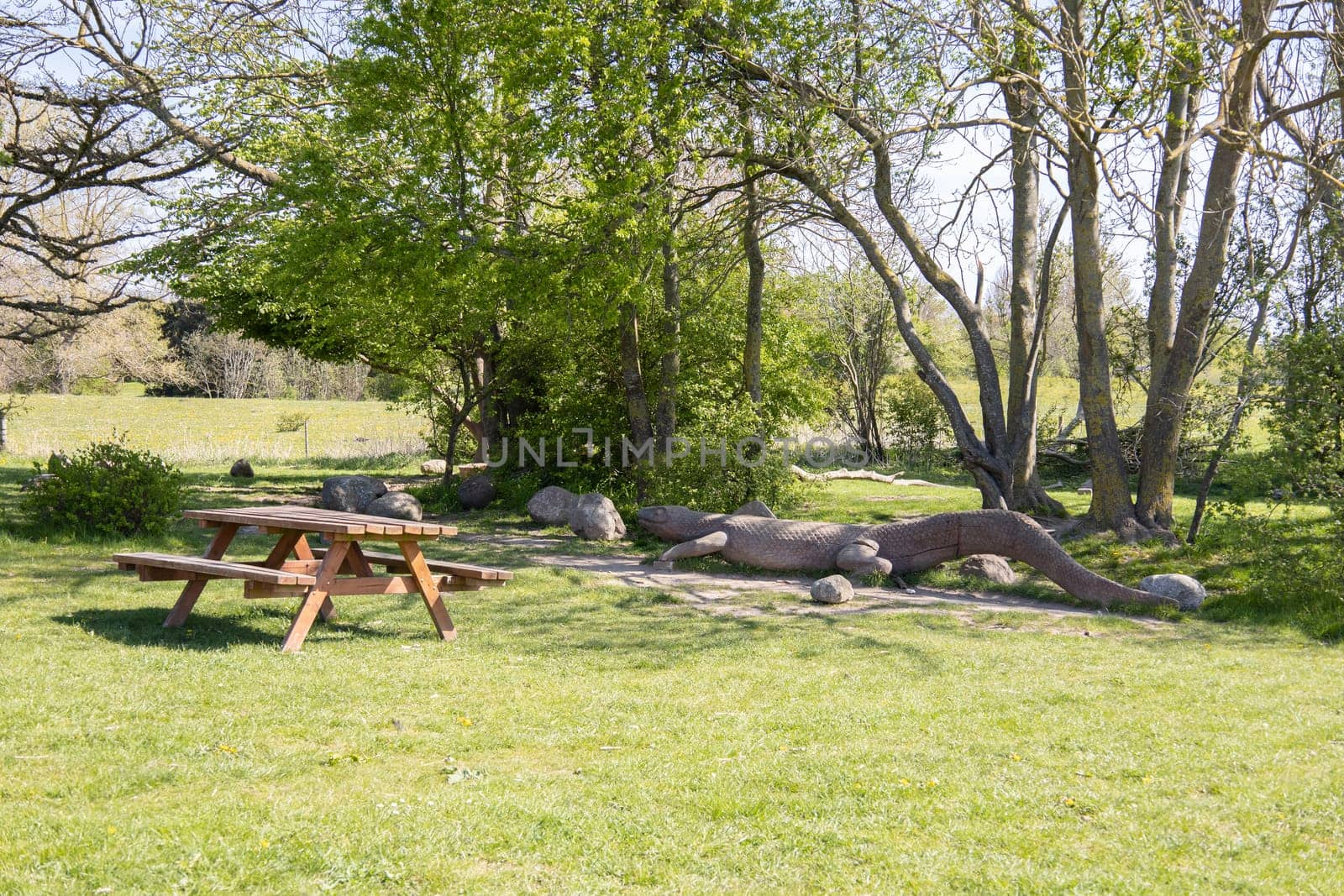 Summer park for outdoor activities with a bench and a large wooden crocodile. High quality photo