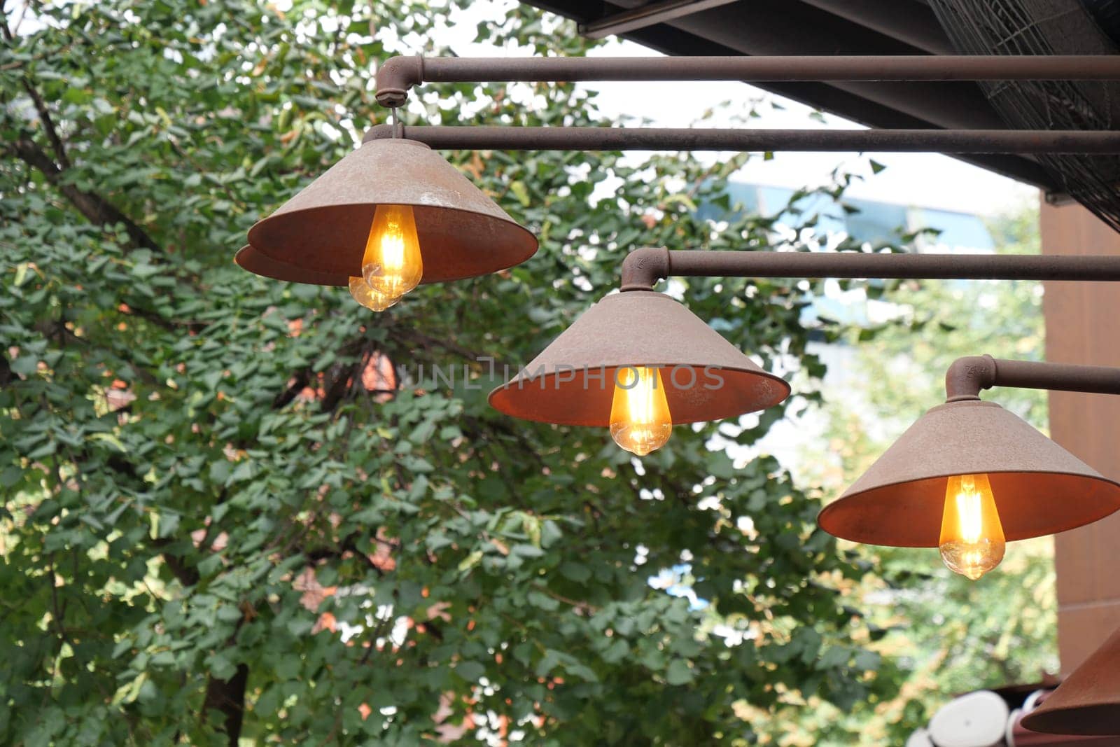 Hanging industrialstyle lights beautifully surrounded by the vibrant lush trees in the area