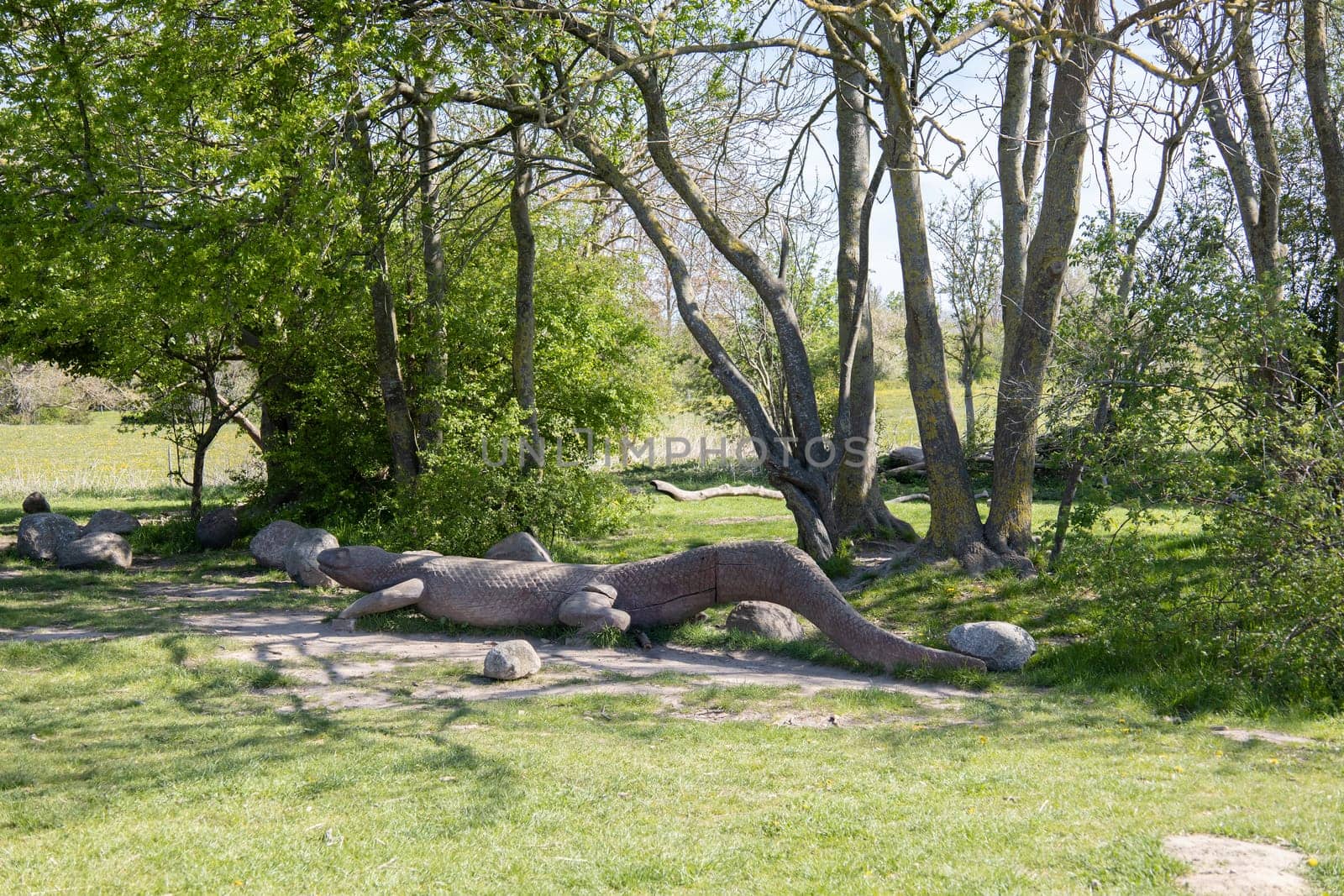 Summer park for outdoor activities with a bench and a large wooden crocodile. High quality photo