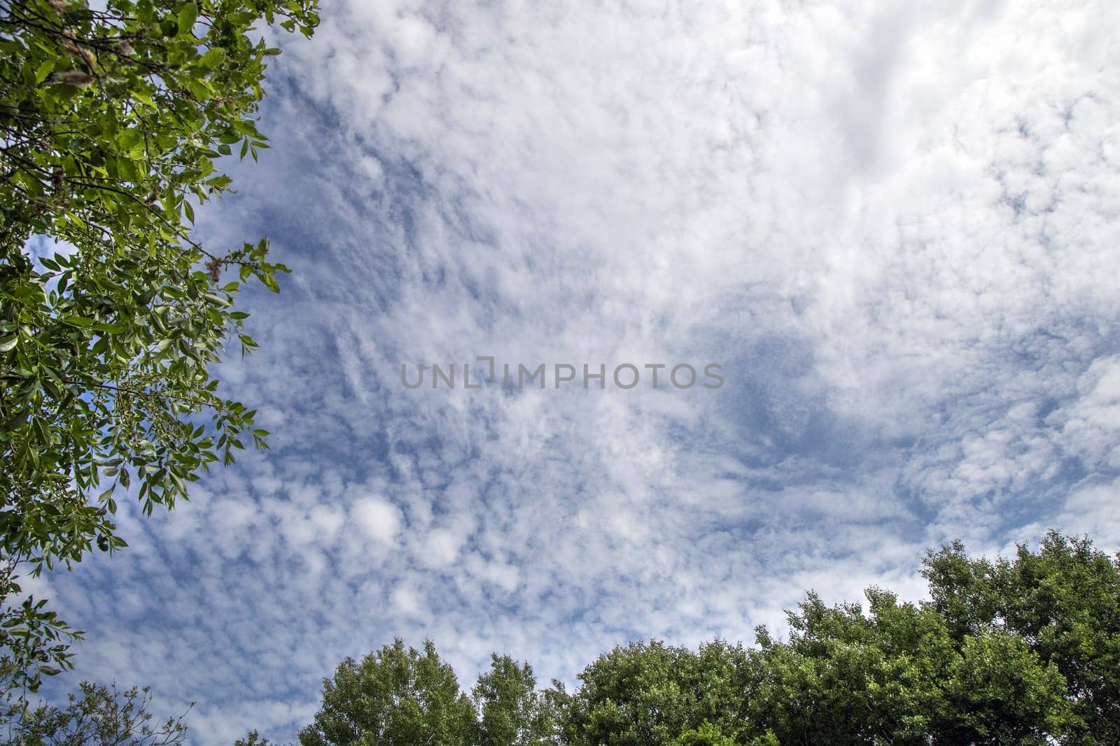 Blue sky background with white clouds and green trees around the edges.