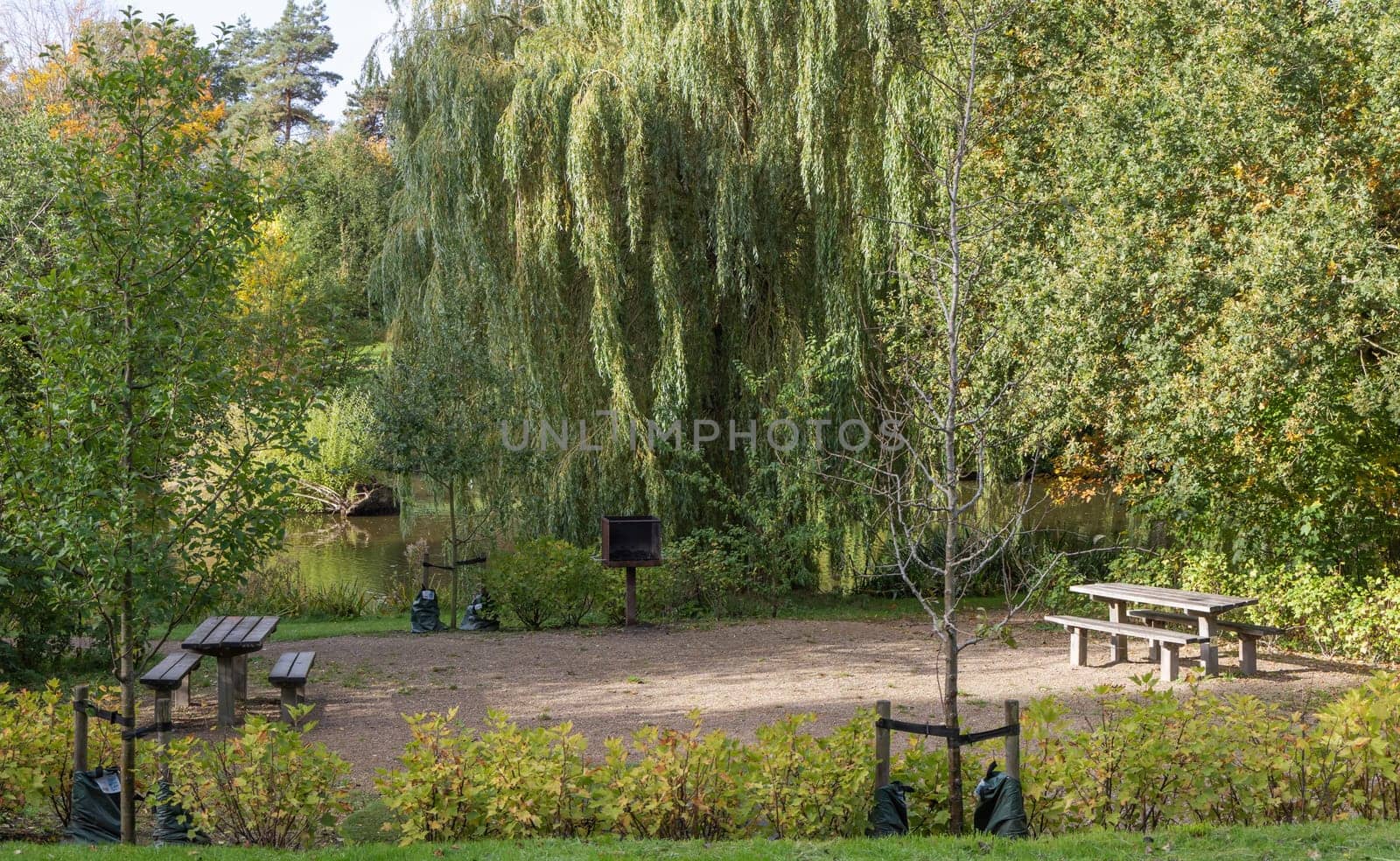 Barbecue area in the park with a grill and wooden tables. High quality photo