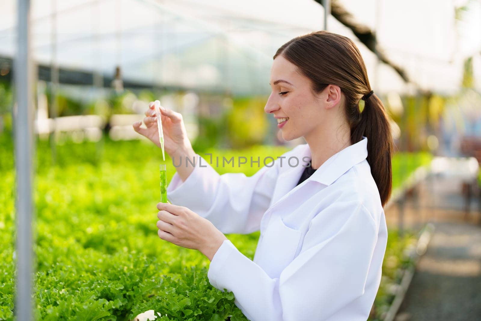 Woman Farmer harvesting vegetable and audit quality from hydroponics farm. Organic fresh vegetable, Farmer working with hydroponic vegetables garden harvesting, small business concepts. by Manastrong