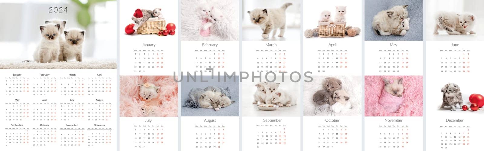 2024 Photo calendar with cute cats. Annual daily planner template with feline kitty animals. The week starts on Monday