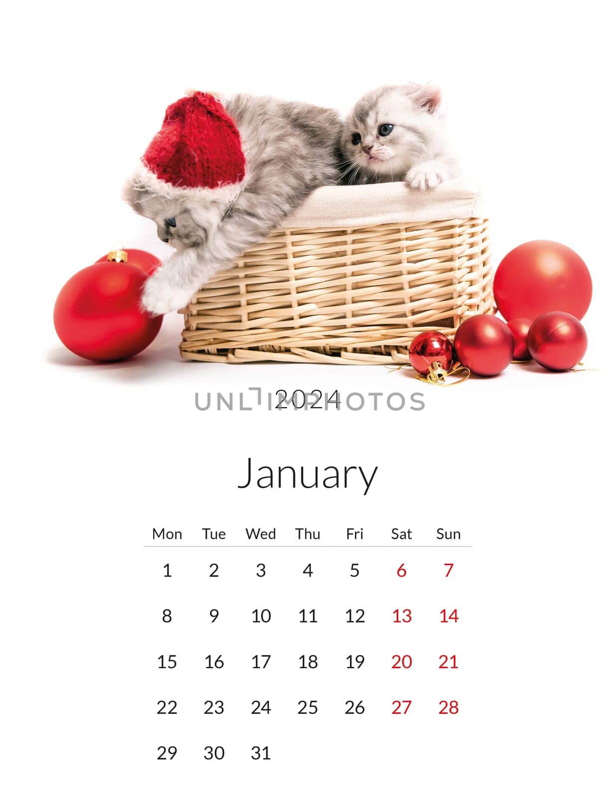 January 2024 Photo calendar with cute cats. Annual daily planner template with feline kitty animals. The week starts on Monday