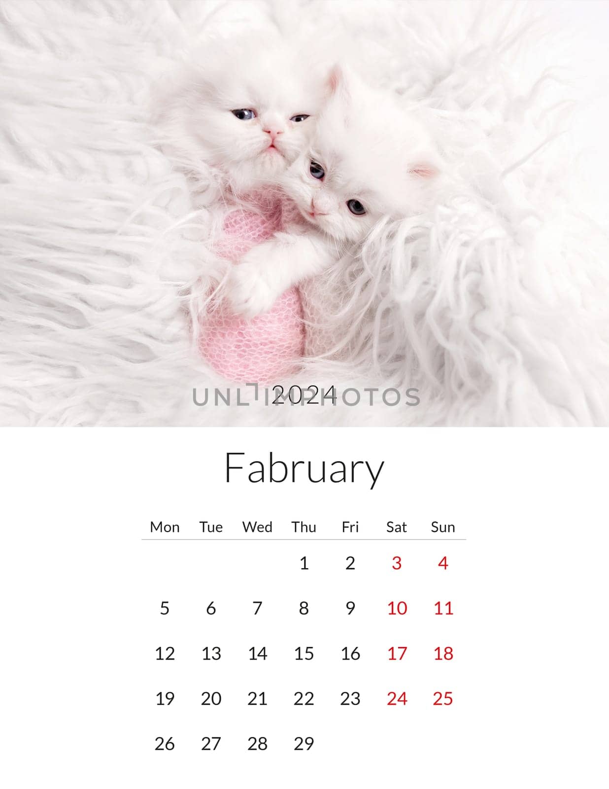 February 2024 Photo calendar with cute cats. Annual daily planner template with feline kitty animals. The week starts on Monday