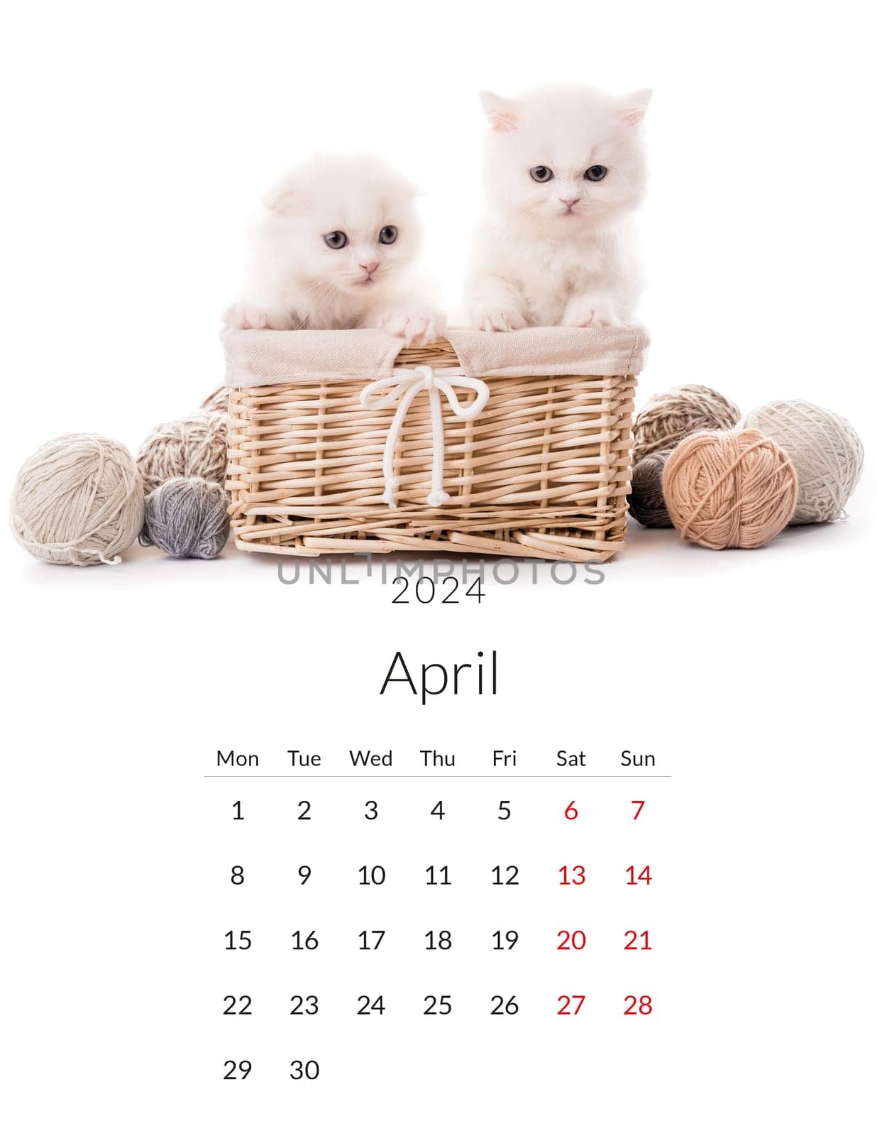 April 2024 Photo calendar with cute cats. Annual daily planner template with feline kitty animals. The week starts on Monday