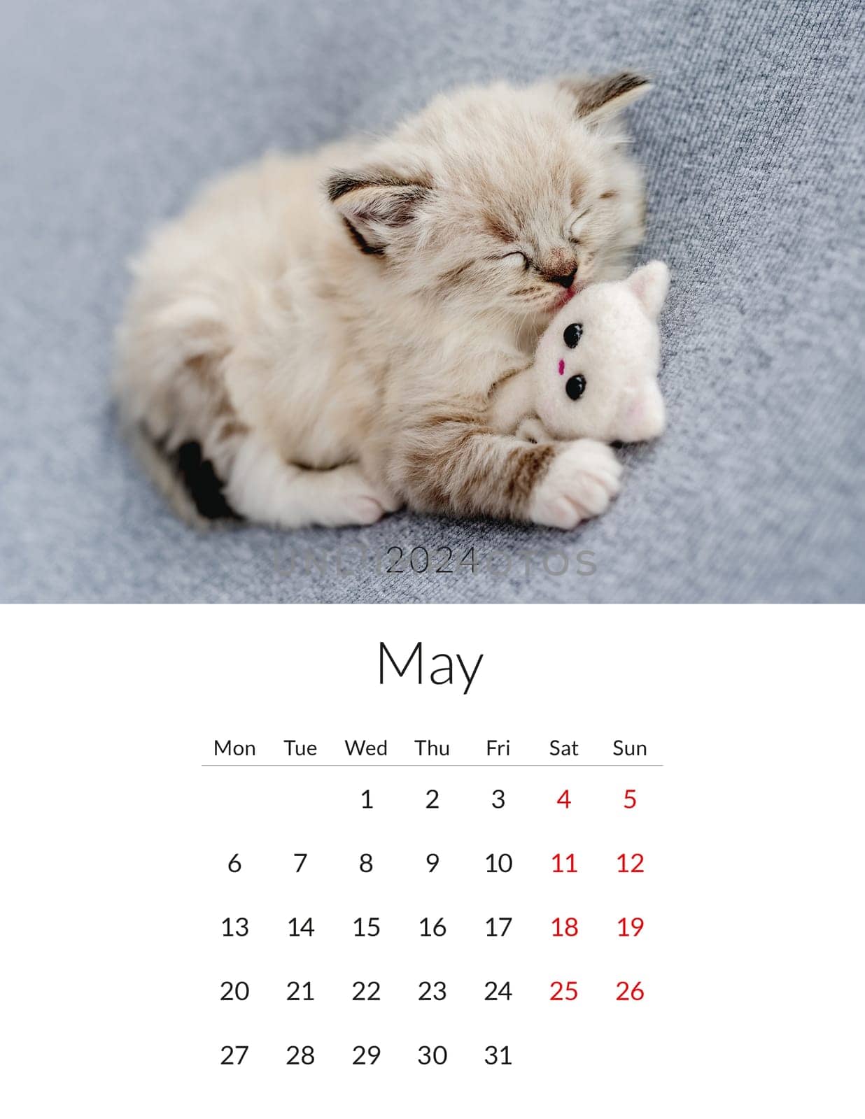 May 2024 Photo calendar with cute cats. Annual daily planner template with feline kitty animals. The week starts on Monday
