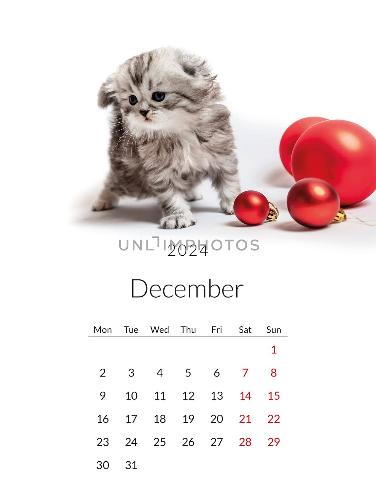 December 2024 Photo calendar with cute cats. Annual daily planner template with feline kitty animals. The week starts on Monday