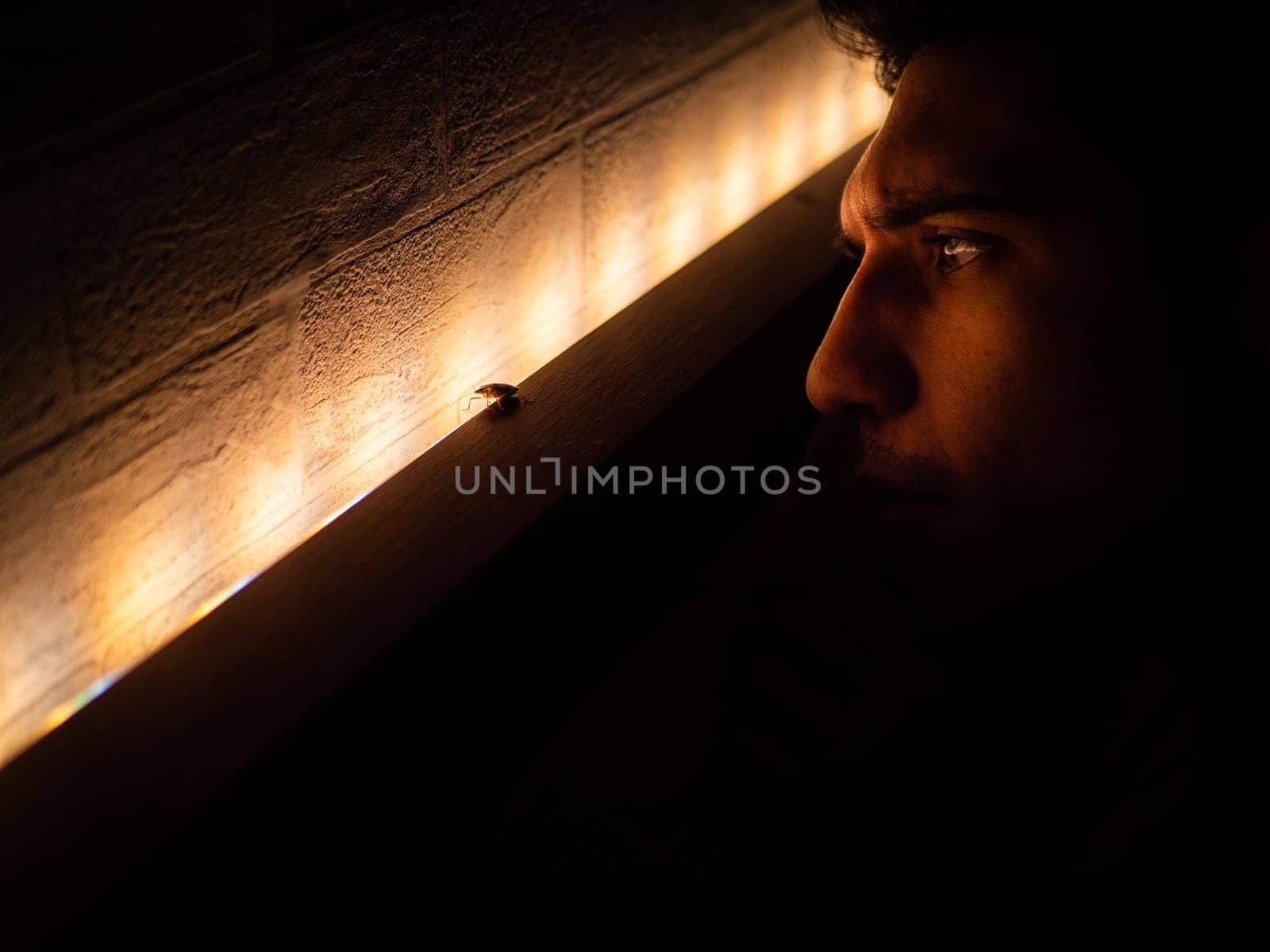 A young man observing a bed bug on a piece of furniture