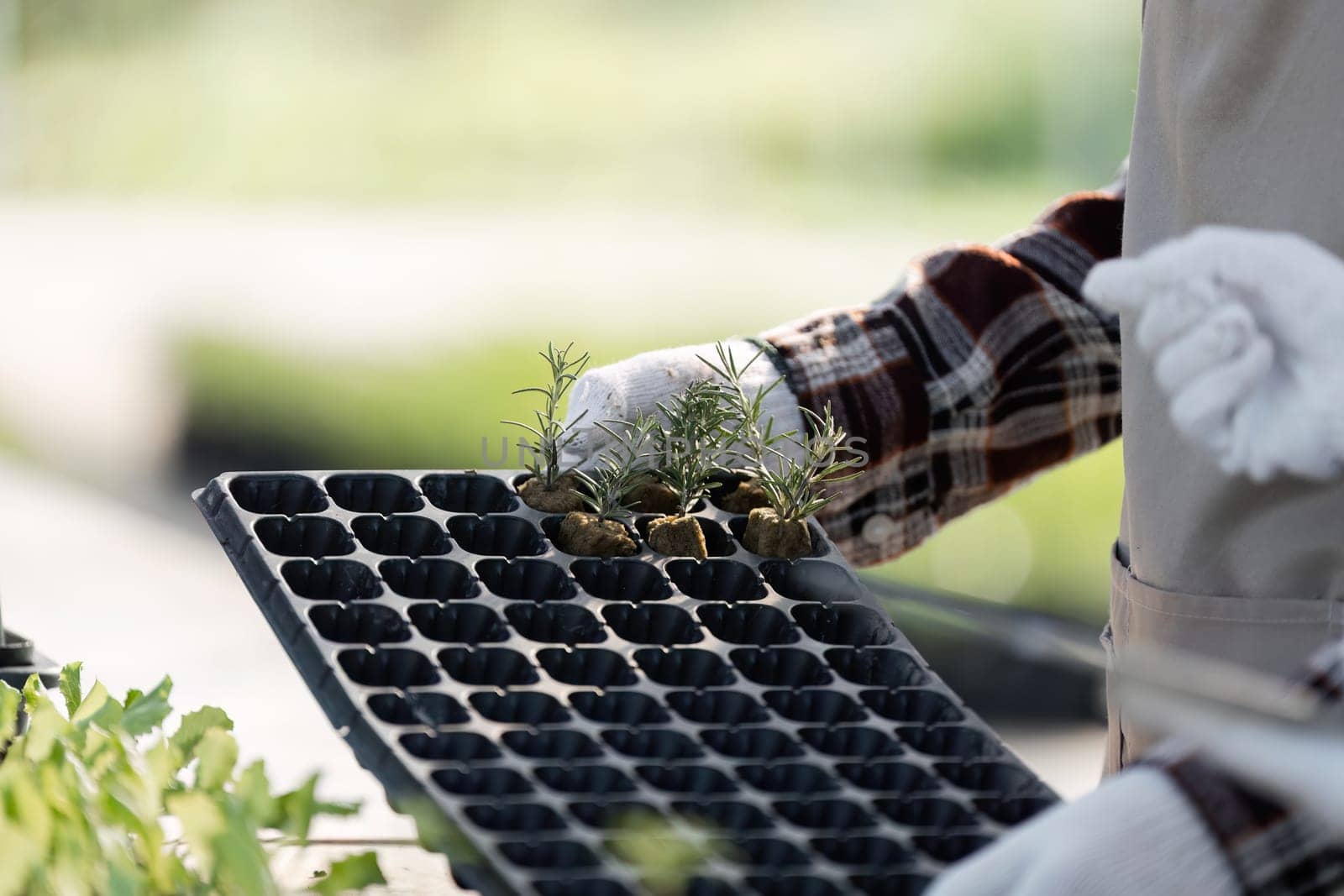 A young woman actively farming in a greenhouse, showcasing sustainable agriculture and modern farming techniques.