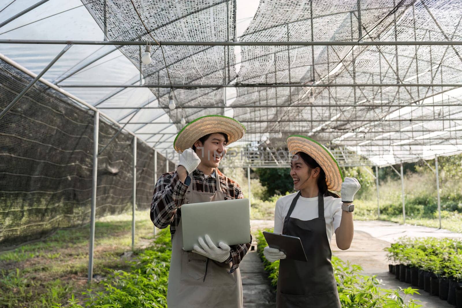 A modern farmer couple gardening herbs and cannabis in a greenhouse, using technology for efficient cultivation.