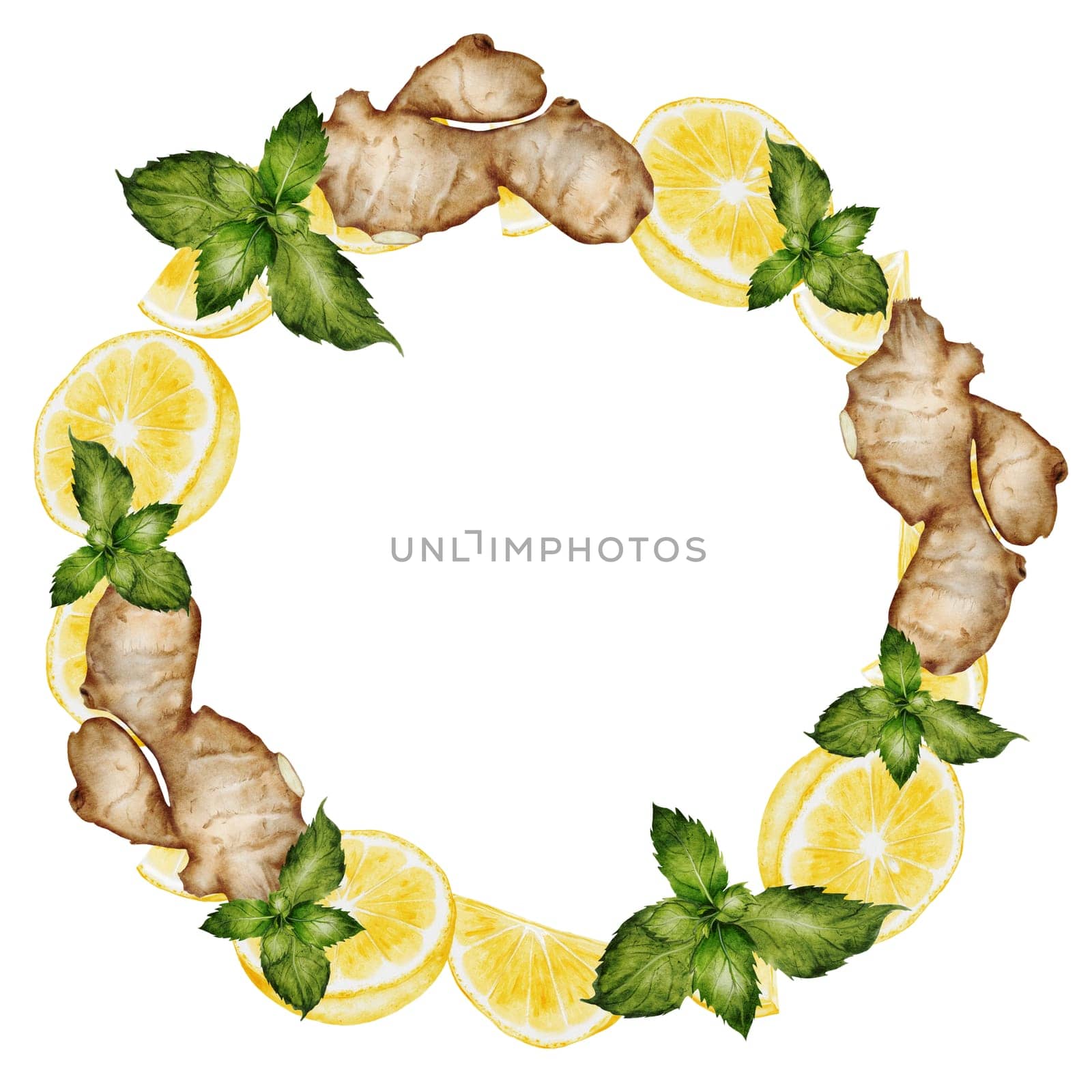 Ginger and lemon watercolor frame. Hand drawn hot root, citrus and mint on isolated white background. Clip art fruits and spices for hot drinks. Ideal for natural tea design and nutritionist blogs design. High quality illustration