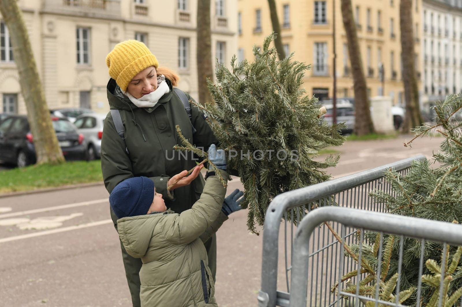 Mother and son throw away Christmas trees behind the fence to recycling in France