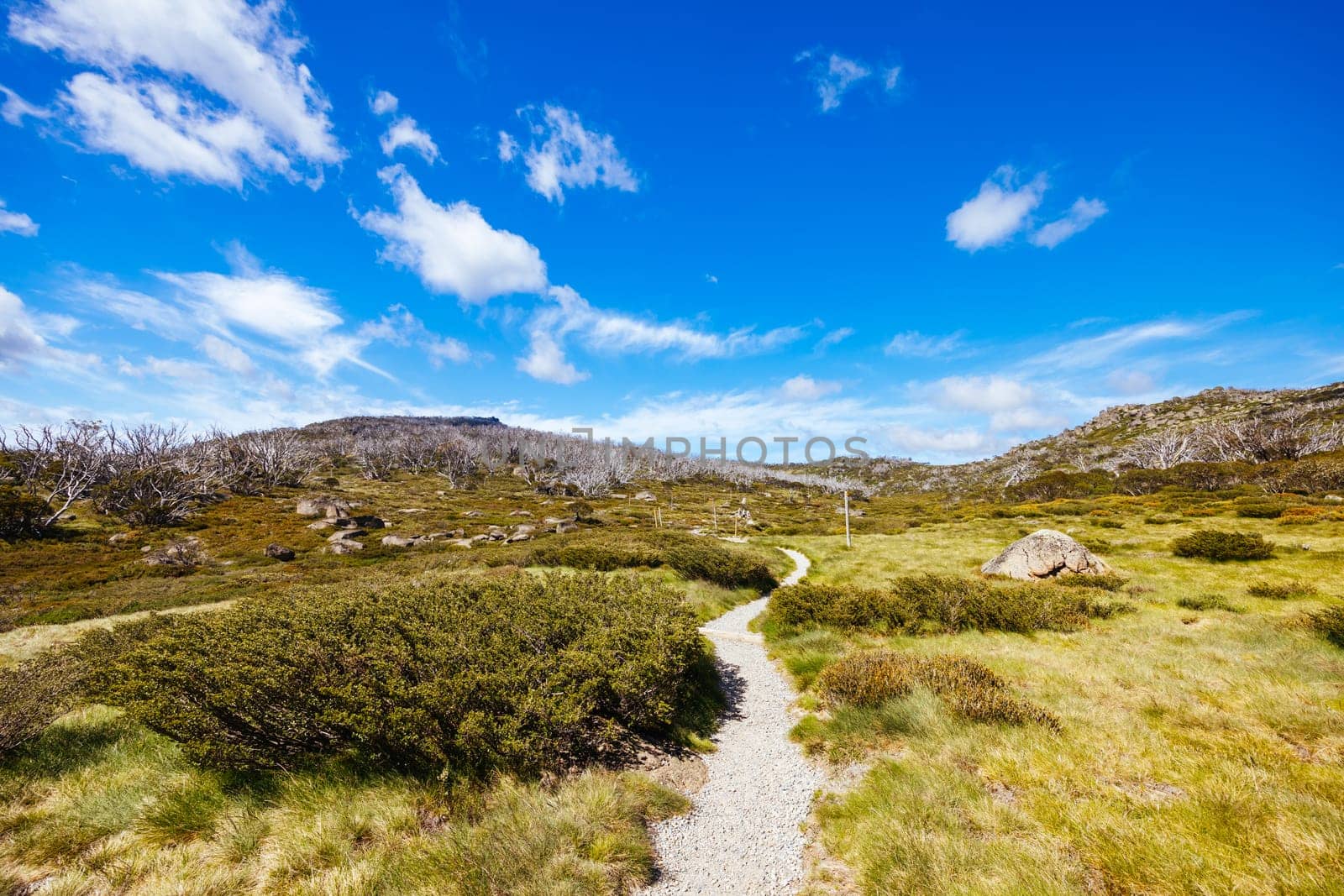 Landscape views along the Porcupine Walking Track on a summer's day in Kosciuszko National Park, Snowy Mountains, New South Wales, Australia