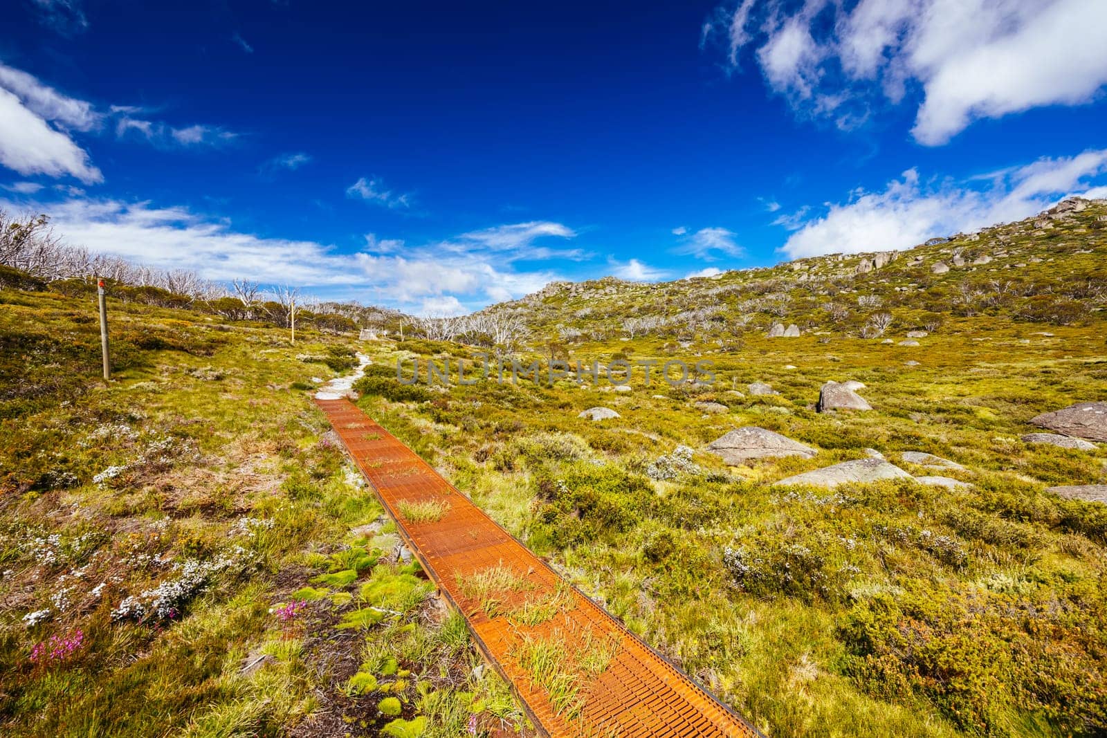 Landscape views along the Porcupine Walking Track on a summer's day in Kosciuszko National Park, Snowy Mountains, New South Wales, Australia