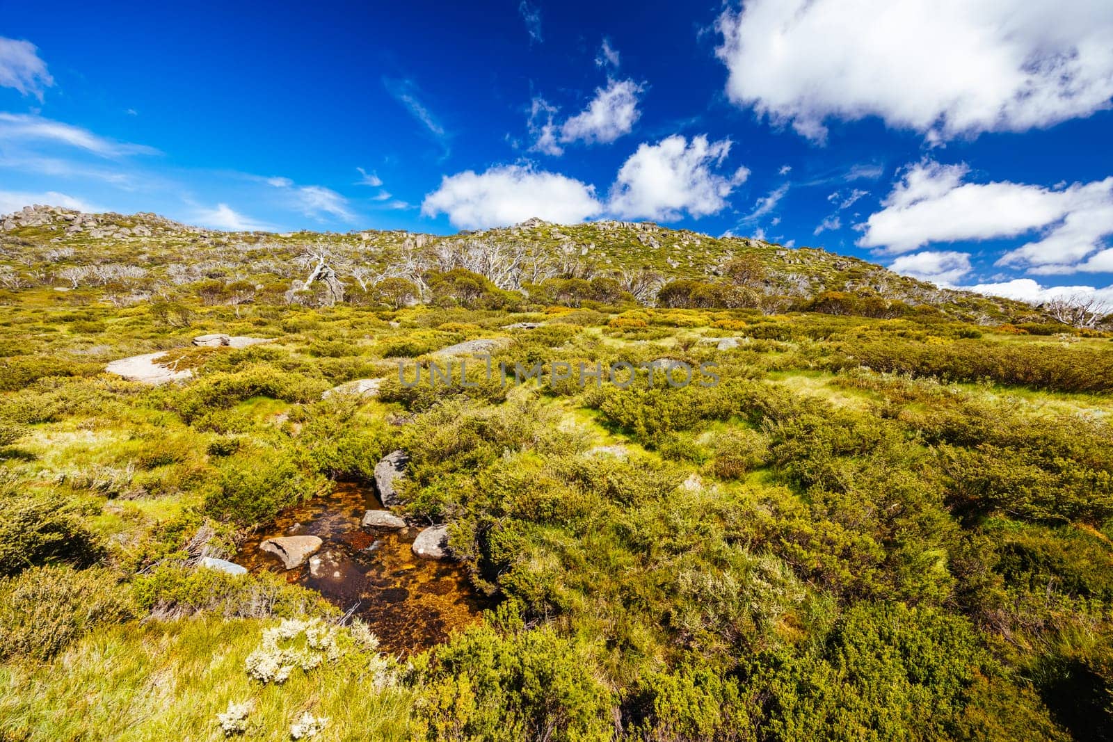 Landscape views along the Porcupine Walking Track on a summer's day in Kosciuszko National Park, Snowy Mountains, New South Wales, Australia