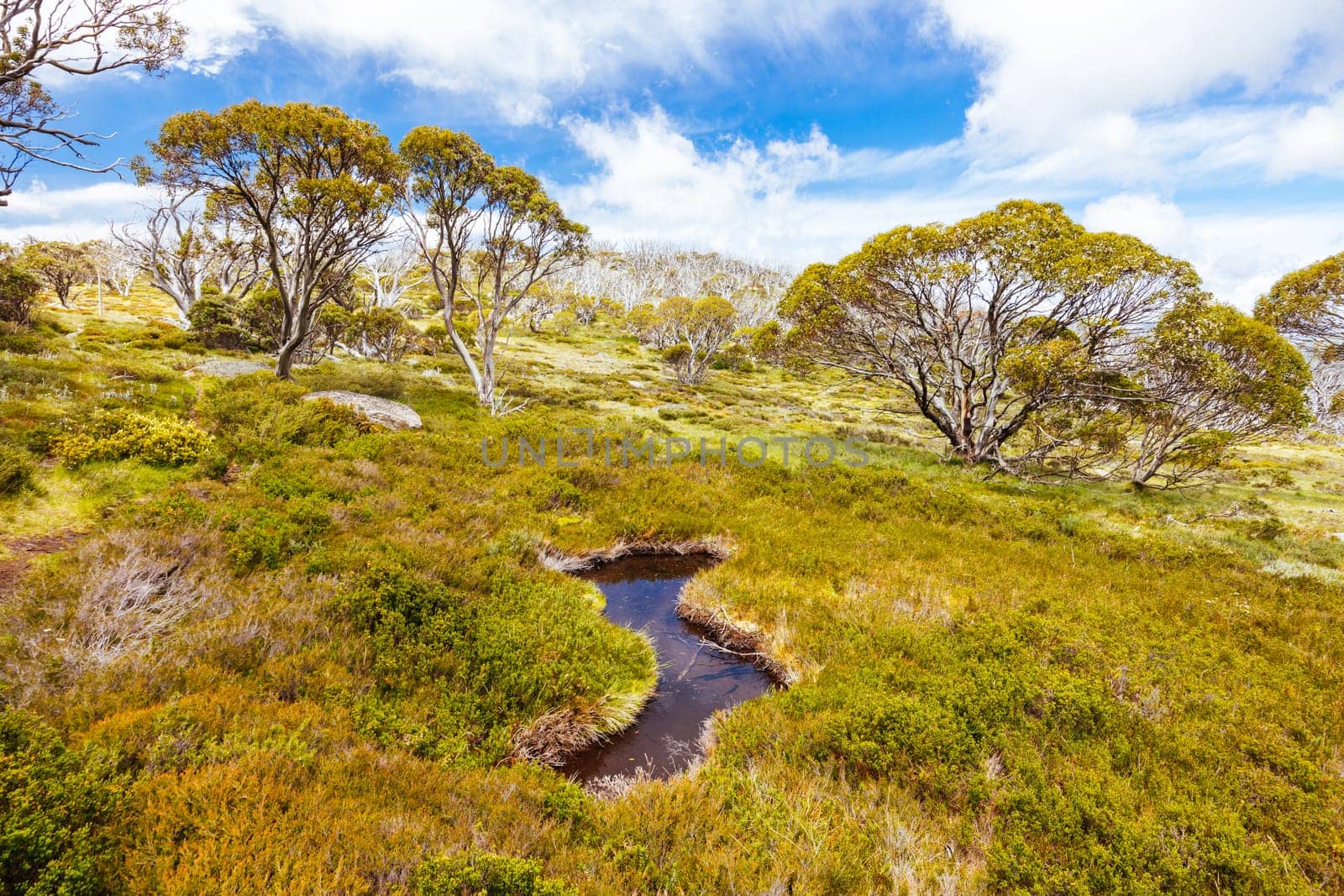 Landscape views along the Porcupine Walking Track on a summer's day in Kosciuszko National Park, Snowy Mountains, New South Wales, Australia