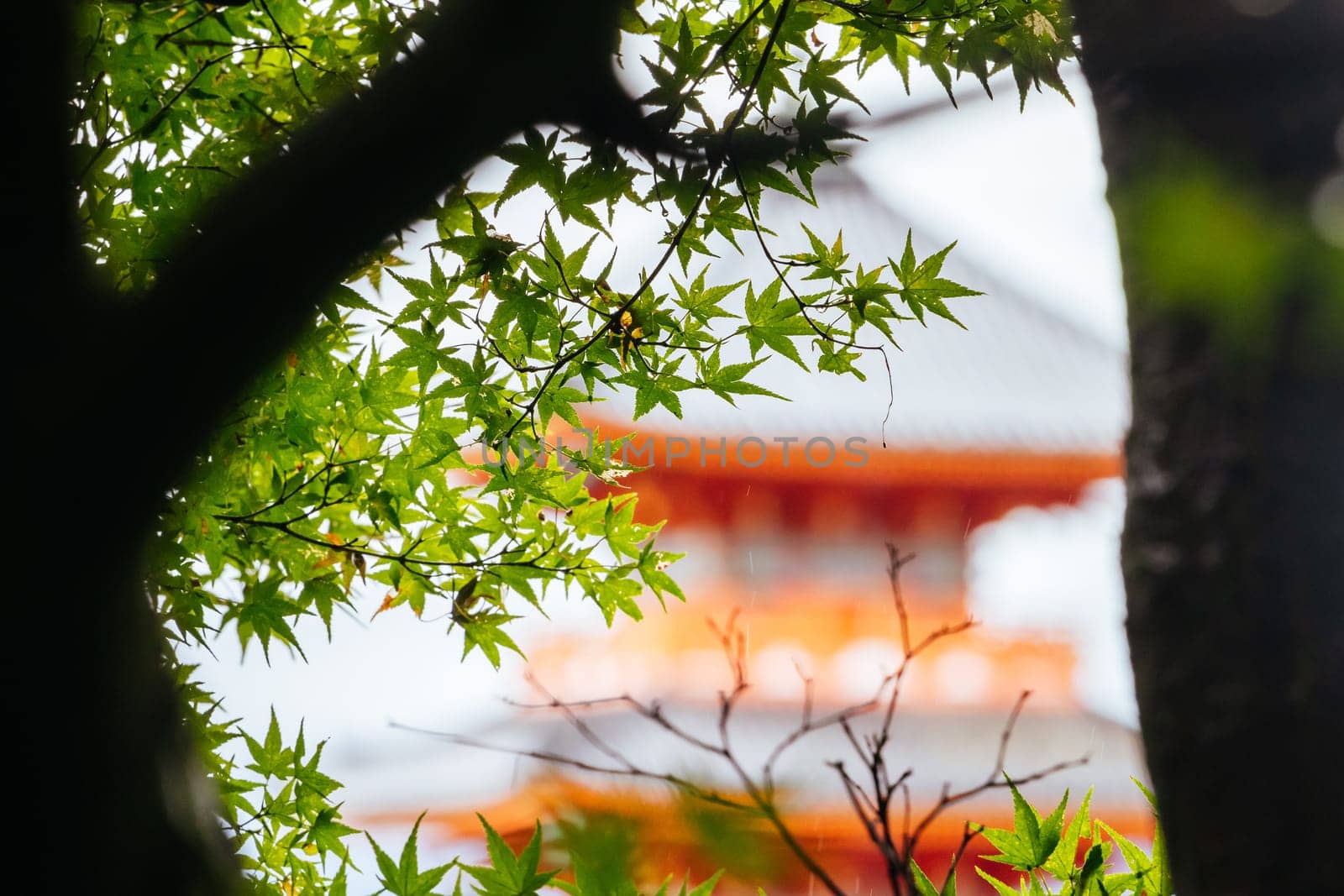 The iconic Kiyomizu-dera temple and mountain view on a sunny spring day in Kyoto, Japan