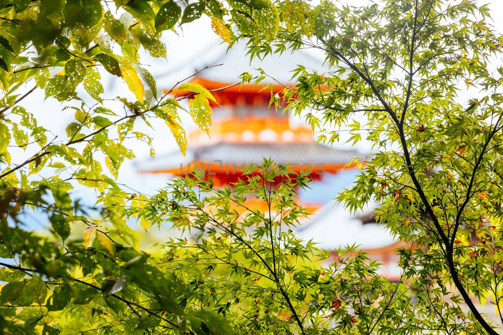 The iconic Kiyomizu-dera temple and mountain view on a sunny spring day in Kyoto, Japan
