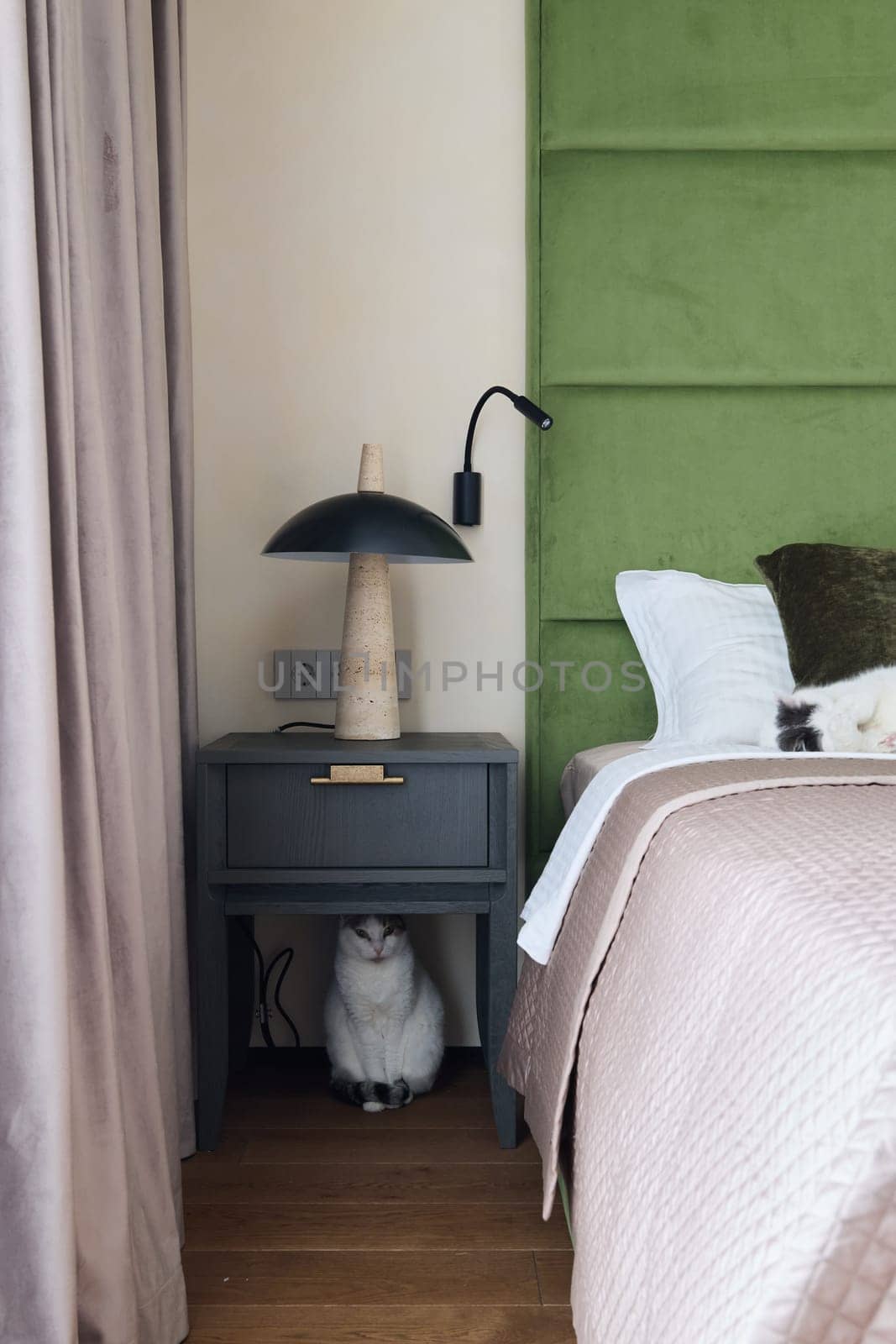 A serene bedroom features an adorable cat lounging on stylish furniture and a chic green velvet headboard