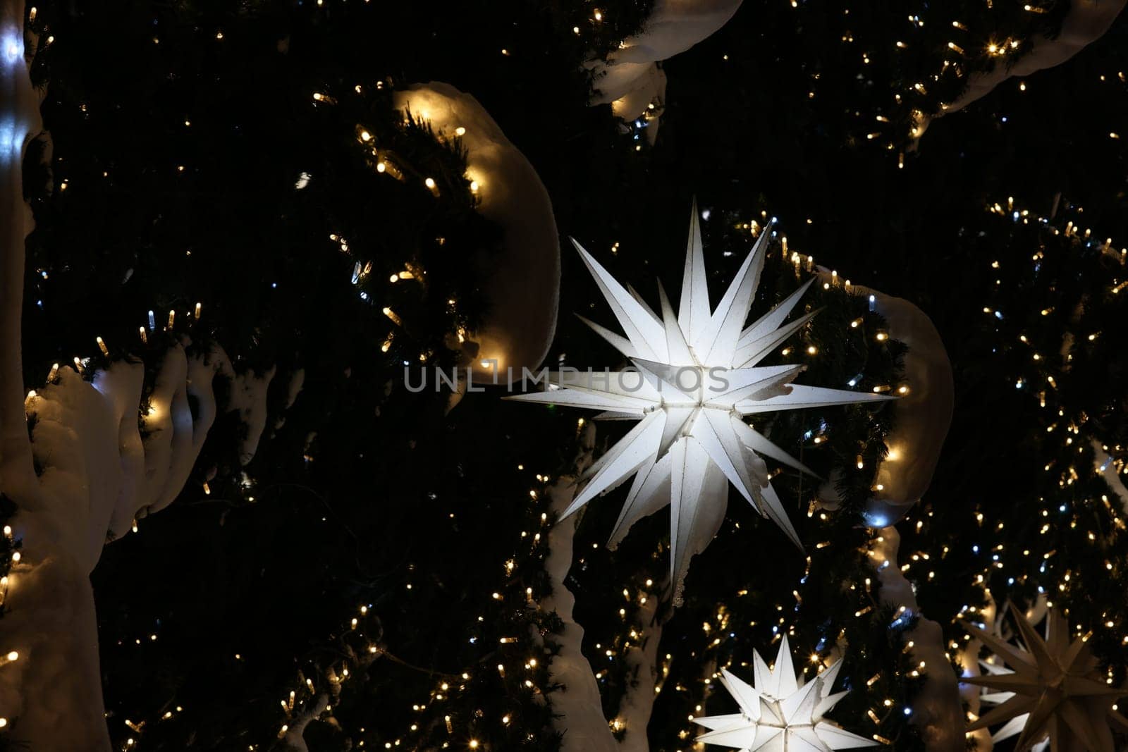 A stunning view showcases decorative stars beautifully illuminated against a contrasting dark backdrop, creating depth